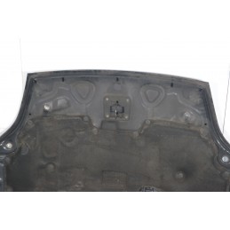 Cofano Anteriore Ford Fiesta V dal 2002 al 2008  1664372877135