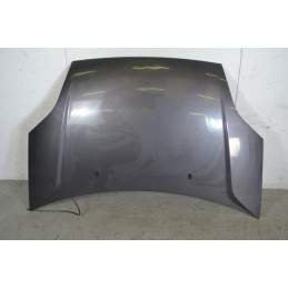 Cofano anteriore Ford Fiesta V Dal 2002 al 2008 Grigio  1664461897570