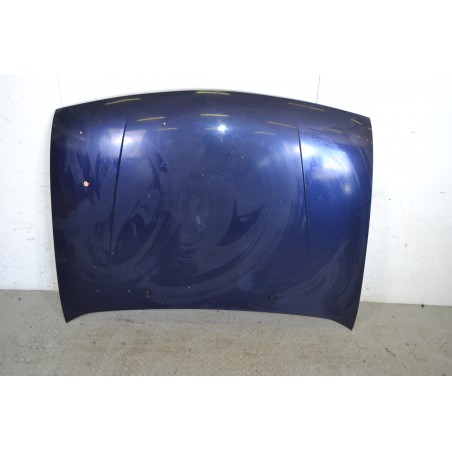 Cofano anteriore Ford Fiesta IV Dal 1995 al 2002 BLU  1665133427668