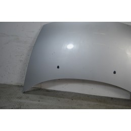 Cofano anteriore Citroen C3 Dal 2002 al 2009 Grigio  1669816527898