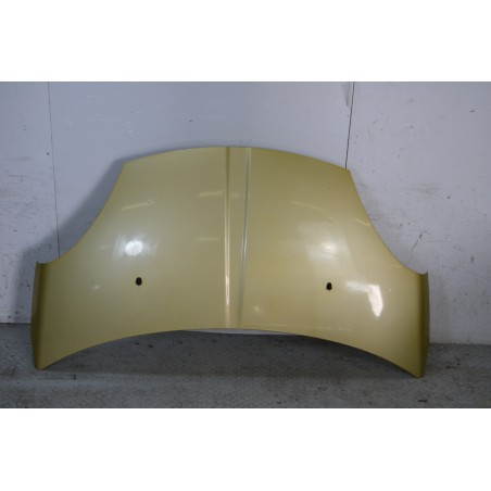 Cofano anteriore DR1 Dal 2009 al 2013 Giallo oro  1669823671867