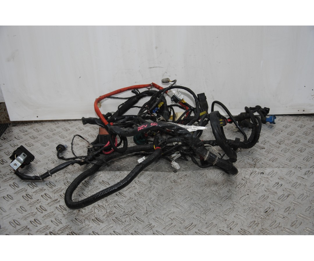 Cablaggio Impianto Elettrico Piaggio Beverly 250 dal 2001 al 2010  1671458297824