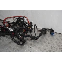 Cablaggio Impianto Elettrico Piaggio Beverly 250 dal 2001 al 2010  1671458297824