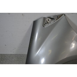 Parafango anteriore SX Mercedes Classe A W169 Dal 2004 al 2008 Cod A1698890325  1674549700098