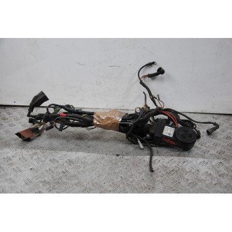 Cablaggio Impianto Elettrico Derbi Terra 125 dal 2007 al 2011 COD : 602687m  1675078360487