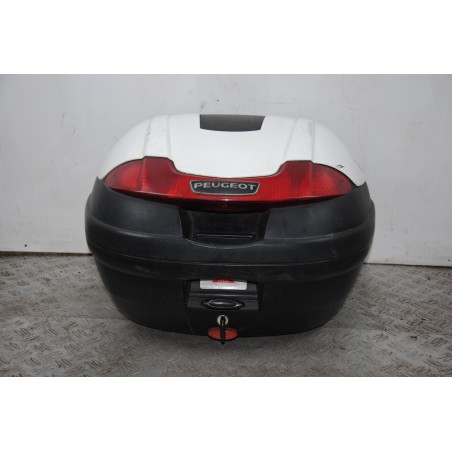 Bauletto Peugeot Geopolis 125 / 250 dal 2005 al 2012  1675155389653