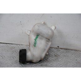 Vaschetta Acqua Peugeot Geopolis 125 / 250 dal 2005 al 2012  1675252185028