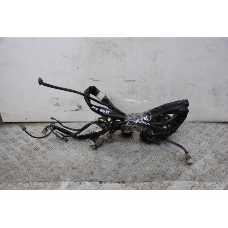 Cablaggio Impianto Elettrico Aprilia Scarabeo 100 2T dal 1999 al 2002  1678349703372