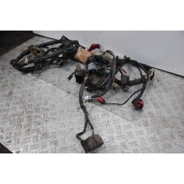 Cablaggio Impianto Elettrico Honda Sh 300 Dal 2006 al 2010  1678803512915