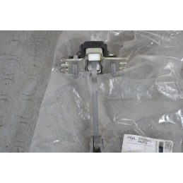 Tirante sportello anteriore bilaterale DX SX Fiat Scudo/ Citroen Jumpy/ Peugeot Expert Dal 2007 al 2016 Cod 1440204880  16832...