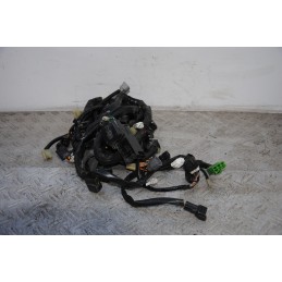 Cablaggio Impianto Elettrico Suzuki Burgman 400 dal 2007 al 2016  1689693983143