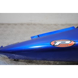 Carena Fianchetto Codino Laterale Posteriore Destro Suzuki SV 650 dal 2003 al 2006 COD 45511-19F R  1689751452345