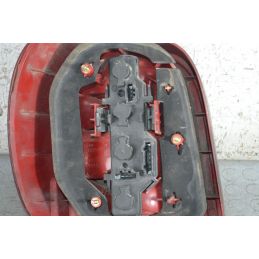 Fanale Stop Posteriore DX Volkswagen Polo 6N2 dal 1999 al 2003  1694079559577