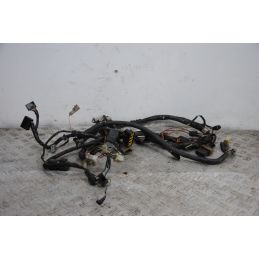 Cablaggio Impianto Elettrico Kawasaki ZR-7 Dal 1999 Al 2004  1694529169059