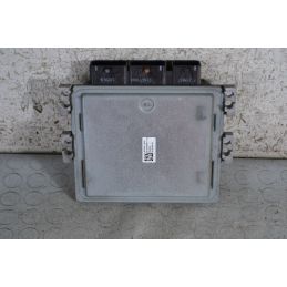 Centralina ECU Renault Scenic II dal 2002 al 2009 Cod 8200766462  1695653886560