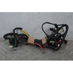 Cablaggio Impianto Elettrico Peugeot LXR 200 IE dal 2009 al 2014  1700580153972