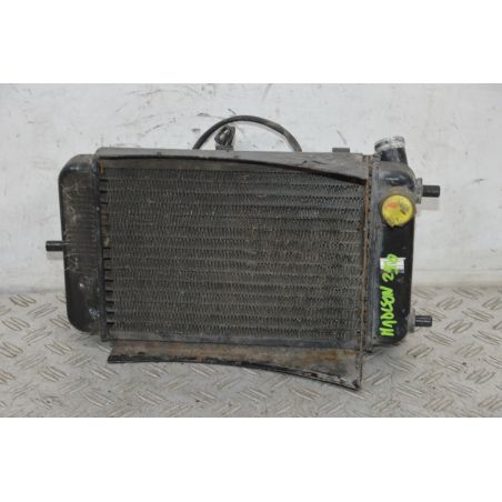 Radiatore + Elettroventola Malaguti Madison 250 dal 2007 al 2012  1703157512288