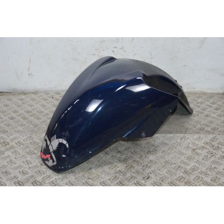 Carena Parafango Anteriore Aprilia Atlantic 200 Dal 2002 Al 2011  1703756064614