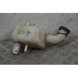 Vaschetta Acqua Peugeot LXR 200 dal 2009 al 2014  1703849779685