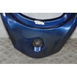 Carena Codino Posteriore Honda Sh 300 Dal 2006 al 2010  1705395466859