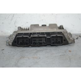 Centralina ECU Renault Megane II dal 2002 al 2010 Cod 8200391966  1705923617739