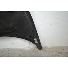 Cofano Anteriore Volkswagen New Bettle 9C1 dal 02/1999 al 06/2004 Cod 1C0823031L Cod Motore ALH  1707993486253