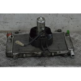 Radiatore Con Elettroventola Piaggio X9 125 dal 1999 al 2002  1711468134648