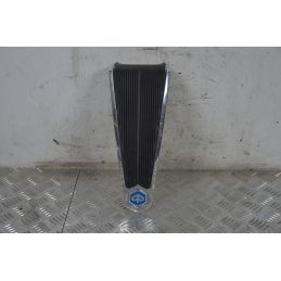 Carena Scudetto Anteriore Piaggio Liberty RST 50 / 125 / 150 Dal 2003 al 2013  1712935994093