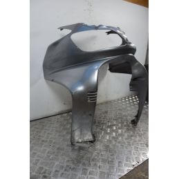 Carena Scudo Anteriore Suzuki Burgman 650 Executive Dal 2004 al 2006  1714381710456