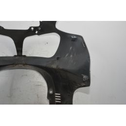 Carena Scudo Anteriore Suzuki Burgman 650 Executive Dal 2004 al 2006  1714381710456