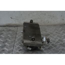 Radiatore Con Elettroventola Yamaha X-City Xcity 250 dal 2006 al 2016  1714467701347