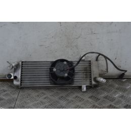 Radiatore Con Elettroventola Suzuki Burgman 150 dal 2005 al 2006  1714750337291