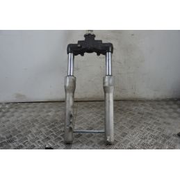 Forcella Piaggio Carnaby Cruiser 300 dal 2008 al 2013  1714989080654