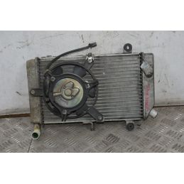 Radiatore Con Elettroventola Honda Silver Wing 400 / 600 dal 2001 al 2009  1715244754693