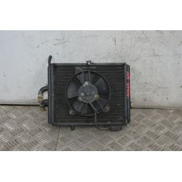 Radiatore Con Elettroventola Piaggio Carnaby Cruiser 300 dal 2008 al 2013  1716298117557