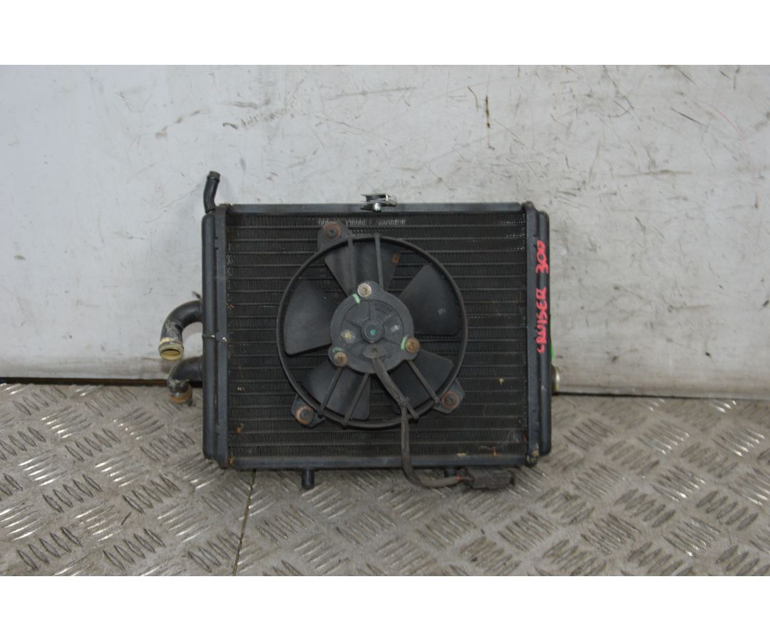 Radiatore Con Elettroventola Piaggio Carnaby Cruiser 300 dal 2008 al 2013  1716298117557