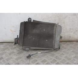 Radiatore Con Elettroventola Honda SH 300 dal 2006 al 2010  1717401812857