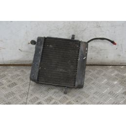 Radiatore Con Elettroventola Honda Foresight 250 Dal 1998 al 2004  1717485642876