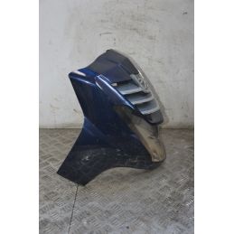 Carena Scudo Anteriore Peugeot LXR 200 Dal 2009 al 2014  1717495539173