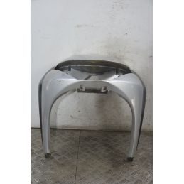 Carena Scudo Anteriore Piaggio Beverly 250 dal 2001 al 2010  1717667581672