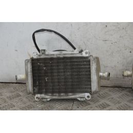 Coppia Radiatori Con Elettroventola Piaggio Vespa GT 200 L Dal 2003 al 2006  1718268426966