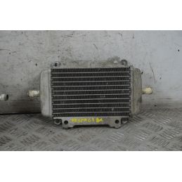 Coppia Radiatori Con Elettroventola Piaggio Vespa GT 200 L Dal 2003 al 2006  1718268426966