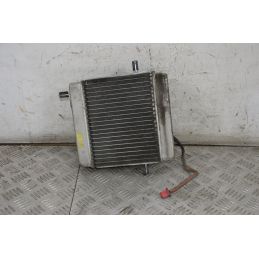 Radiatore Con Elettroventola Honda Jazz 250 dal 2001 al 2006  1718868786101