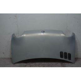 Cofano anteriore Renault Twingo Dal 2000 al 2007 Cod 7751473167  1719571635397