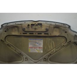 Cofano anteriore Fiat Panda Dal 2003 al 2012 Cod 51876323  1719587837952