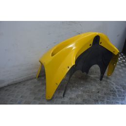 Carena Scudo Anteriore Suzuki GSX R 750 Dal 1999 al 2003  1721209419002