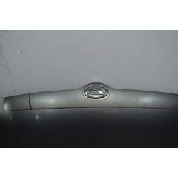 Cofano anteriore Daihatsu Trevis  Dal 2004 al 2011 Cod 53301B2160  1721306311582