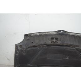 Cofano anteriore Daihatsu Trevis  Dal 2004 al 2011 Cod 53301B2160  1721306311582