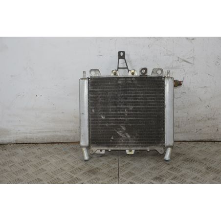 Radiatore Con Elettroventola Piaggio Beverly 125 Dal 2002 al 2006  1721639831047