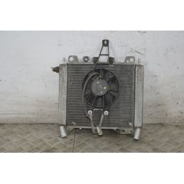 Radiatore Con Elettroventola Piaggio Beverly 125 Dal 2002 al 2006  1721639831047